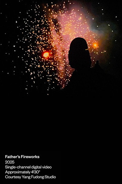 Father's Fireworks