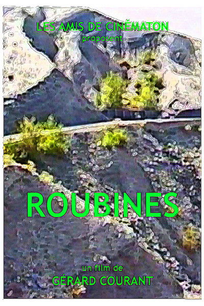 Poster do Filme Roubines
