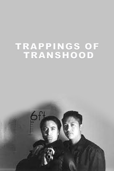 Poster do Filme Trappings of Transhood