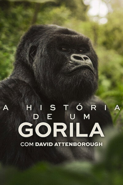 Poster do Filme A História de Um Gorila com David Attenborough