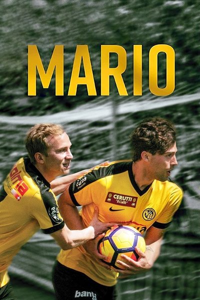 Poster for the movie Mario