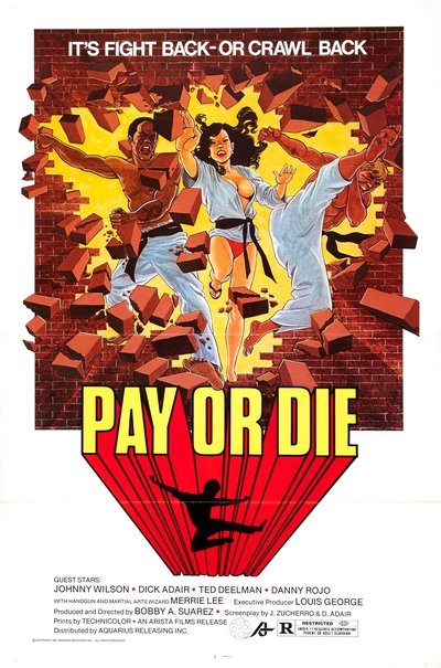 Pay or Die poster Pay or Die