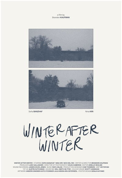 Poster do Filme Winter After Winter