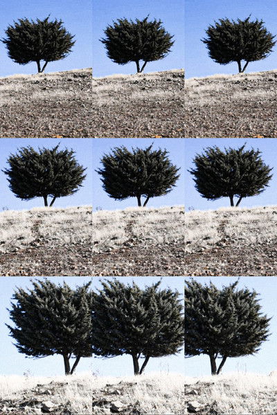 Poster for the movie Where is the Final Destination?