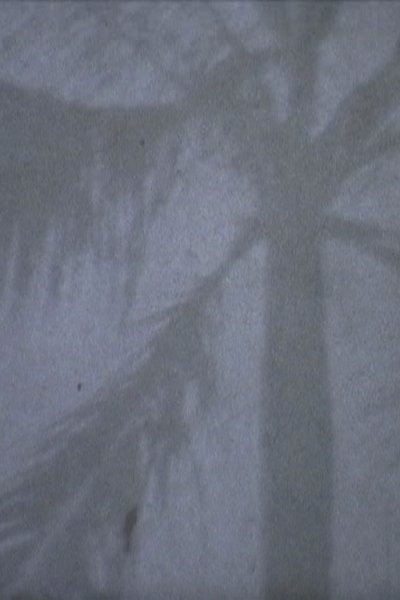 movie poster for Jakarta Traveller's Journal