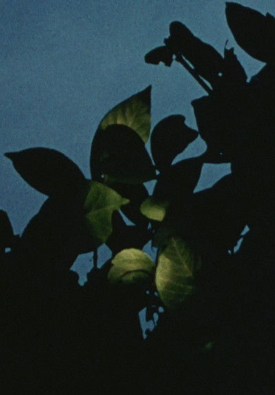 Poster do Filme 地球の石