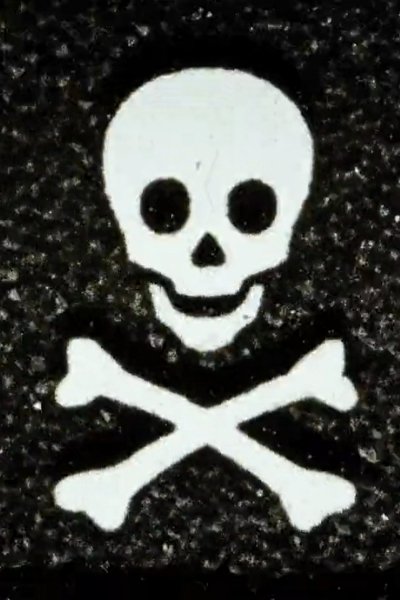 Poster do Filme Dingbat's Revenge