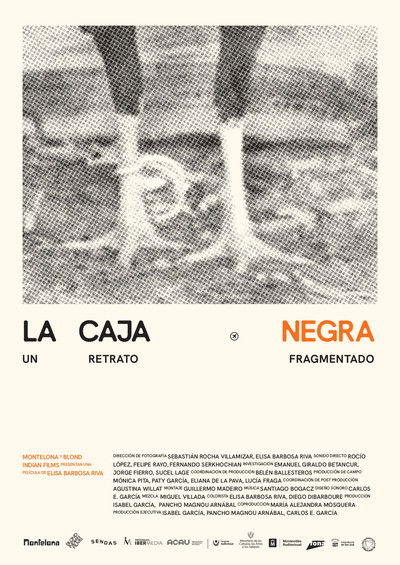 movie poster for La caja negra