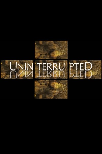 Poster do Filme Uninterrupted