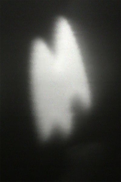 movie poster for Pig Music