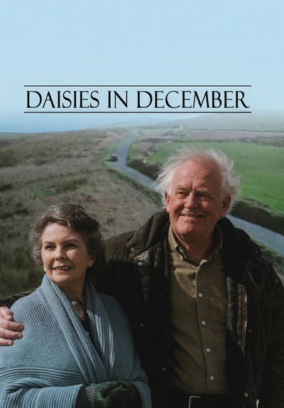 Daisies in December