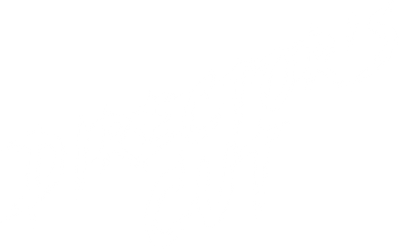 Director's Cut Logo