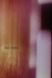 Poster do Filme Bad Burns