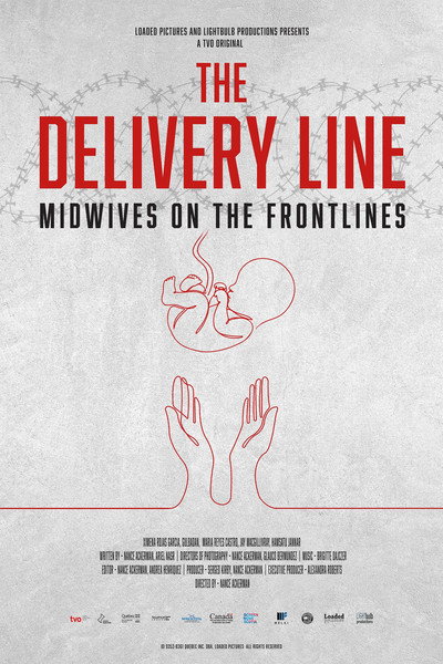 Poster do Filme The Delivery Line