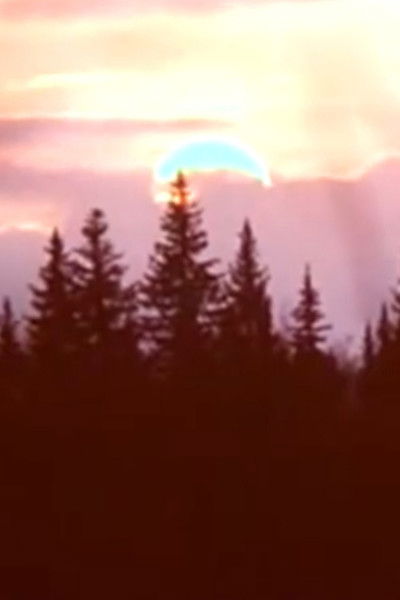 Poster do Filme Весенние кинонаблюдения