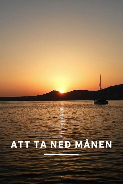 movie poster for Att ta ned månen