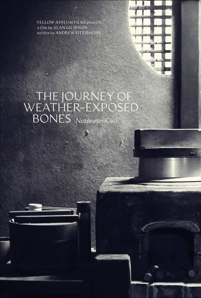 Poster do Filme The Journey of Weather-Exposed Bones