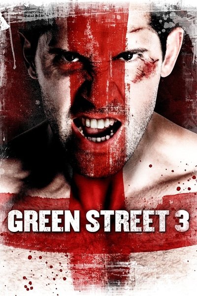 Poster for the movie Green Street 3: Never Back Down