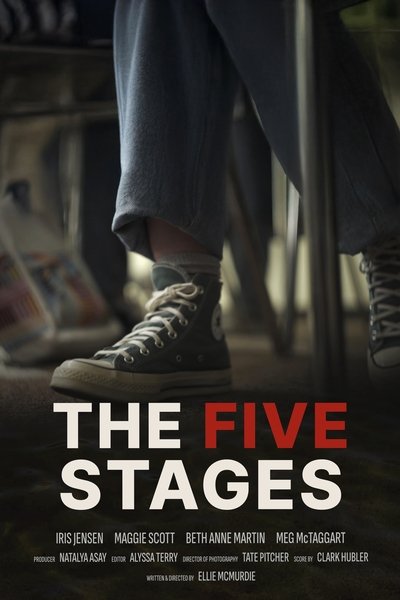 Poster do Filme The Five Stages
