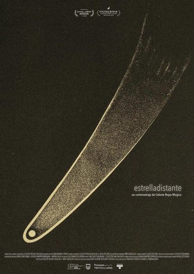 Poster do Filme Estrelladistante