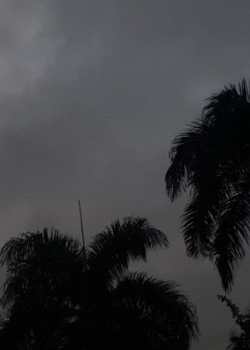 Poster do Filme Ínsito