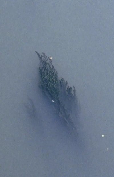 Watch!Desert Islands Movie Online Putlocker