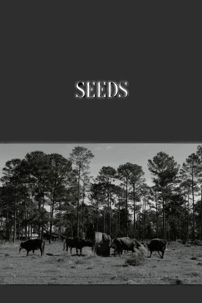 Poster do Filme Seeds