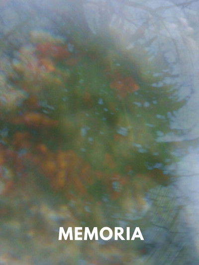 Poster do Filme Memoria