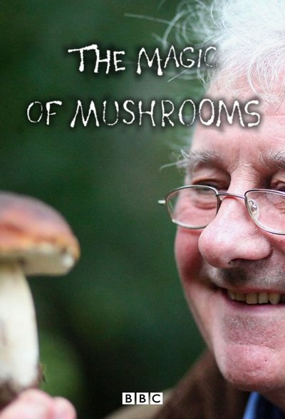 Watch Now!(2014) The Magic Of Mushrooms Movie Online 123Movies