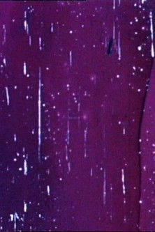 Poster do Filme Study in Optical Rhythm