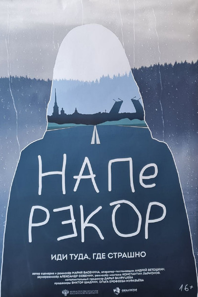Poster do Filme Наперекор