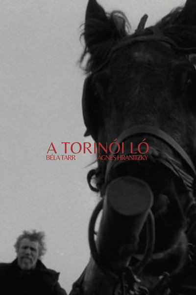 El caballo de Turín