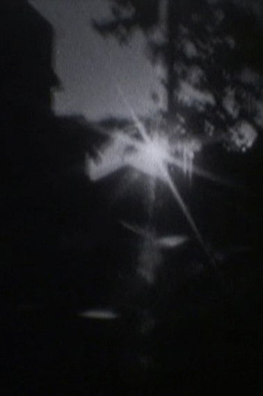 Poster do Filme ホームムービーへの回帰