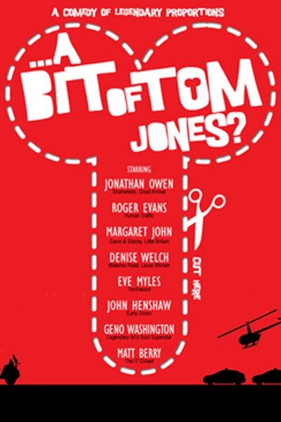 Poster for the movie A Bit of Tom Jones?