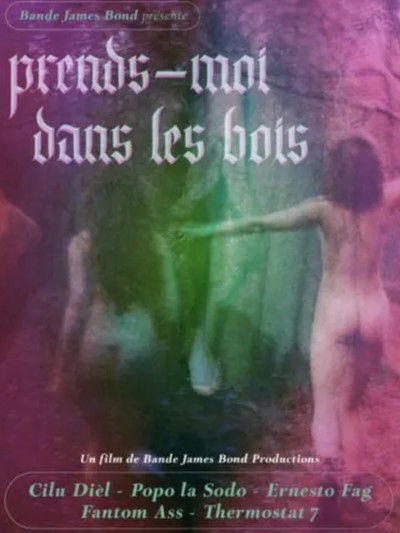 Poster do Filme Prends-moi dans les bois