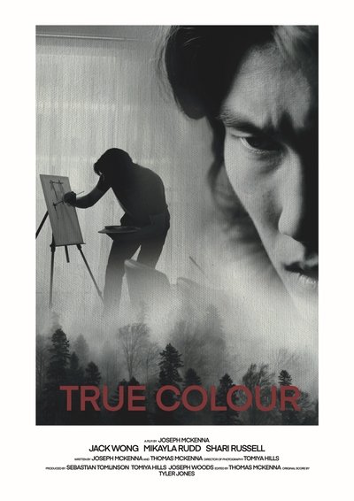 Poster do Filme True Colour