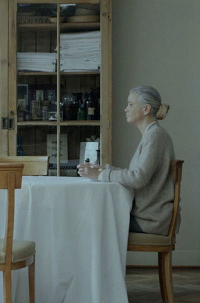 Poster do Filme Agnieszka n’habite plus ici