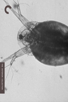 Poster do Filme La daphnie