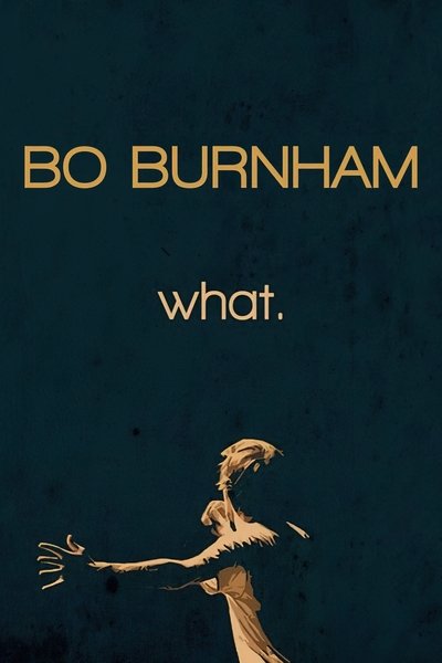 Poster for the movie Bo Burnham: What.
