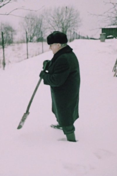 movie poster for Aedniku talv