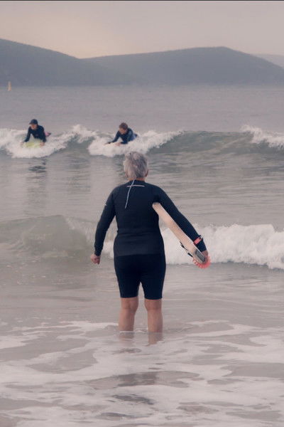 Poster do Filme The Granny Grommets