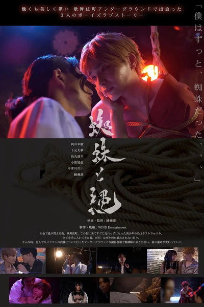 Spider and Rope