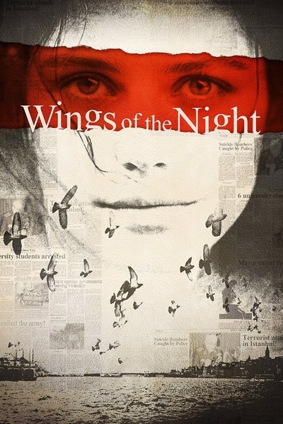 Poster for the movie Wings of the Night