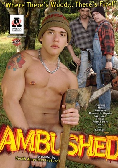 movie poster for My Lumberjack