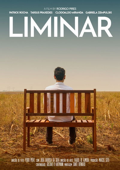 Poster do Filme Liminar
