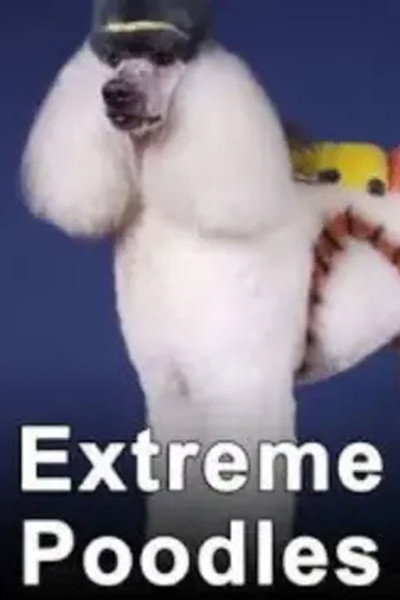 Poster do Filme Extreme Poodles