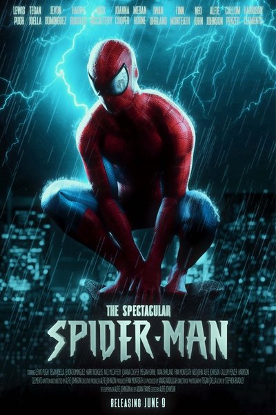 Poster do Filme The Spectacular Spider-Man - Fan Film