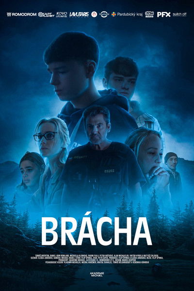 Poster do Filme Brácha