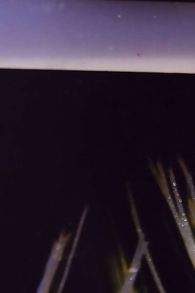 Poster do Filme Katsakh:   1107 - Quantum Superposition and States