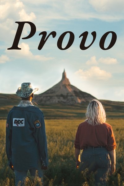 Poster for the movie Provo